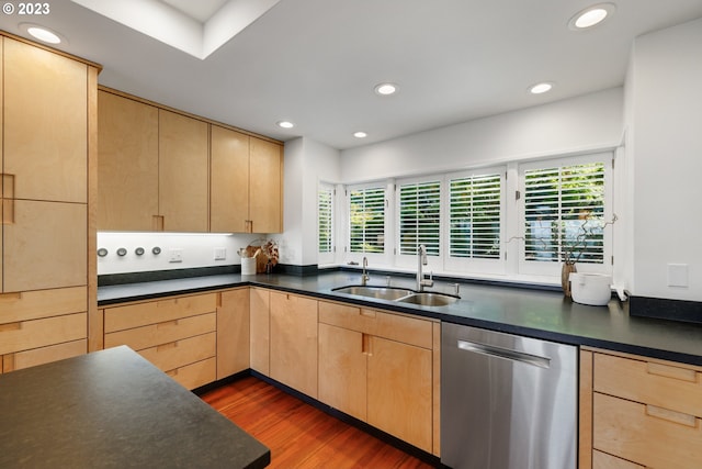 kitchen featuring sink, stainless steel dishwasher, a healthy amount of sunlight, and dark wood-type flooring