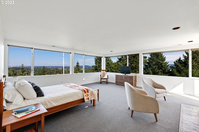 bedroom featuring carpet floors