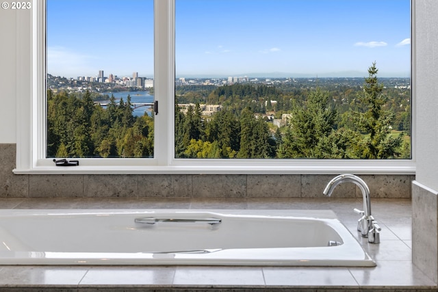 bathroom with plenty of natural light