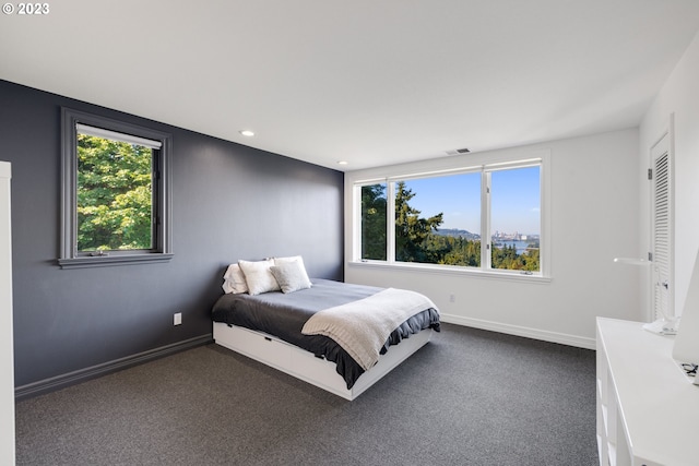 bedroom with multiple windows and carpet floors