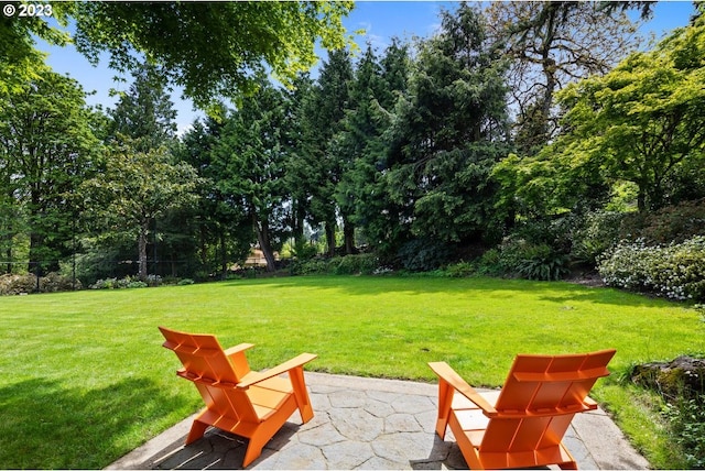 view of yard with a patio area