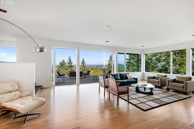 living room with light hardwood / wood-style floors