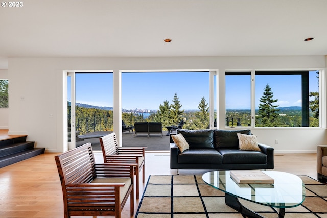 living room with a healthy amount of sunlight and light hardwood / wood-style floors