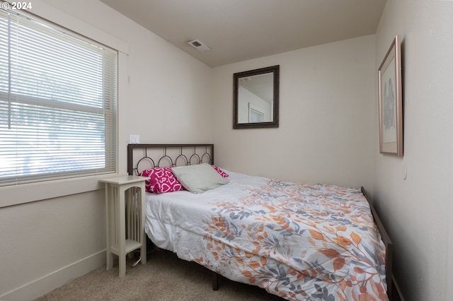 carpeted bedroom with multiple windows