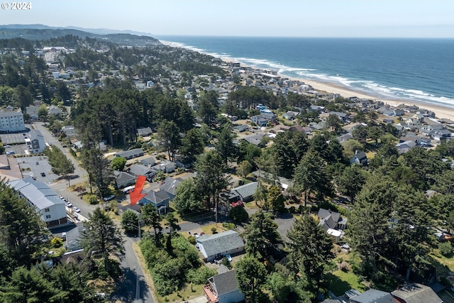 drone / aerial view with a water view and a view of the beach