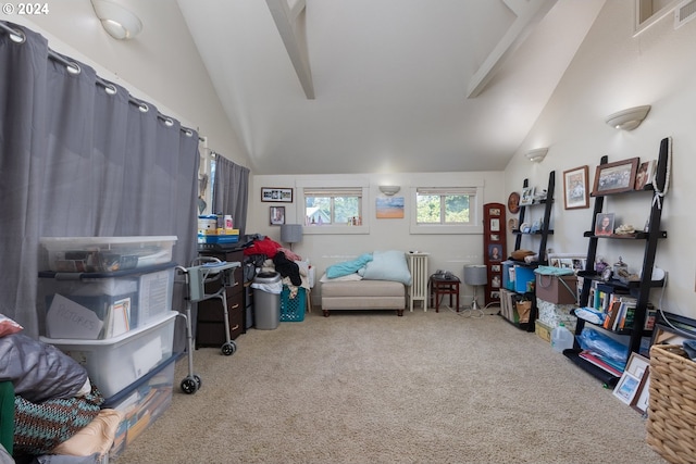 misc room with lofted ceiling and carpet