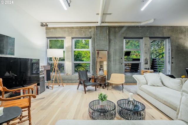 living room featuring hardwood / wood-style floors