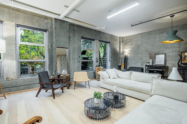 living room featuring hardwood / wood-style floors