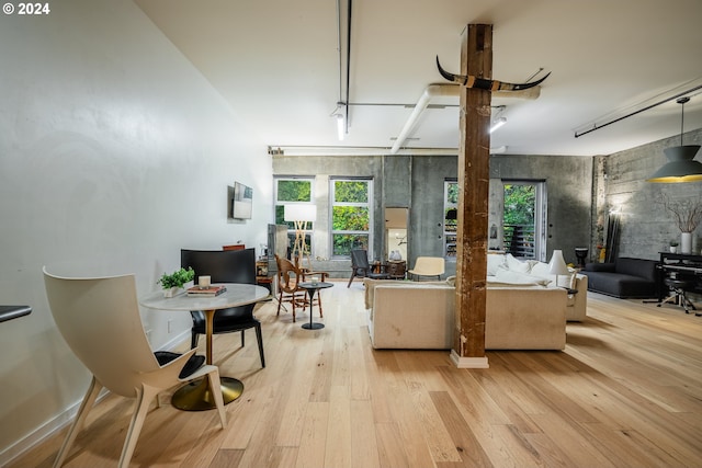 living room featuring light hardwood / wood-style floors