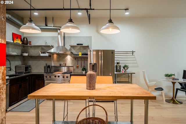 kitchen featuring sink, pendant lighting, island range hood, appliances with stainless steel finishes, and light wood-type flooring