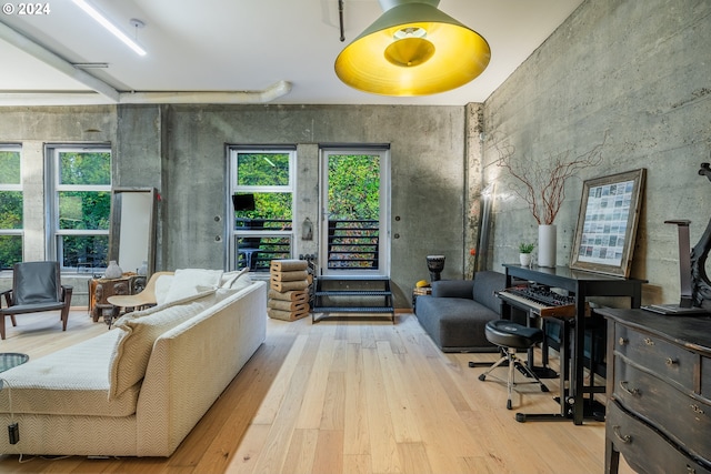 living room with a wealth of natural light and light hardwood / wood-style floors