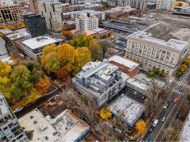 drone / aerial view