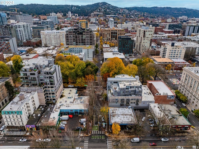 property's view of city featuring a mountain view