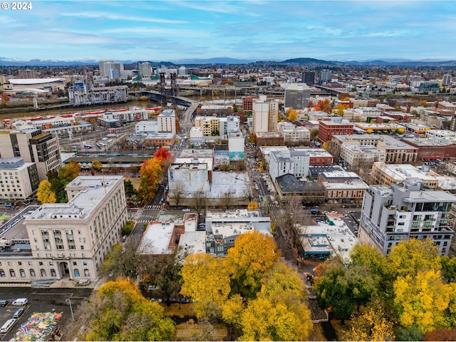 birds eye view of property featuring a mountain view