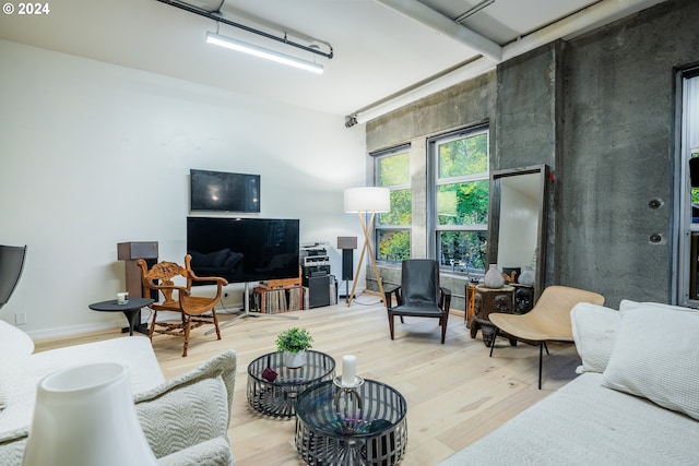 living room with wood-type flooring