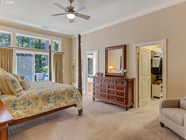 bedroom with a walk in closet, access to exterior, ceiling fan, light carpet, and crown molding