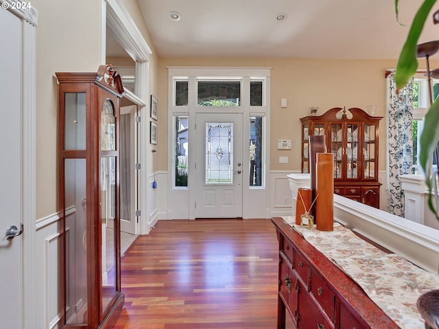 entryway with wainscoting, a decorative wall, wood finished floors, and a healthy amount of sunlight
