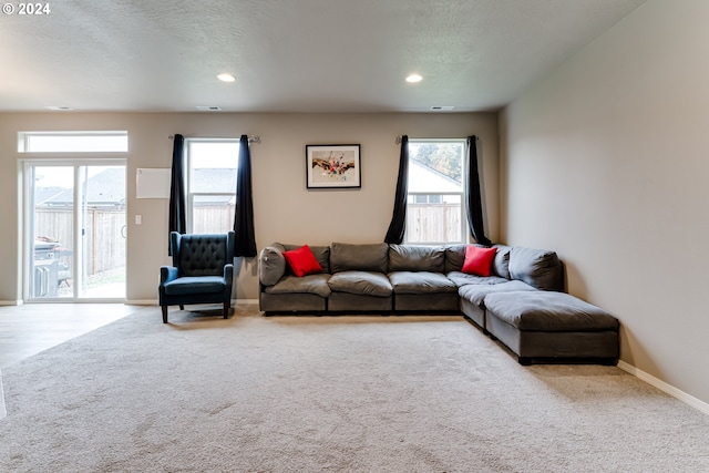 living room with a wealth of natural light, a textured ceiling, and light colored carpet