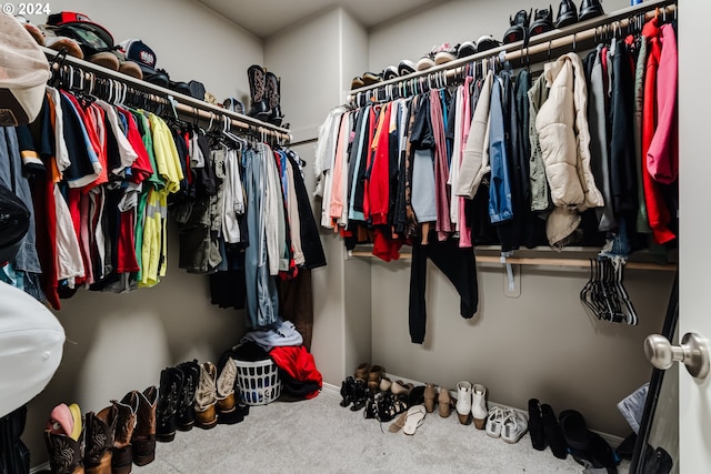 spacious closet featuring carpet flooring