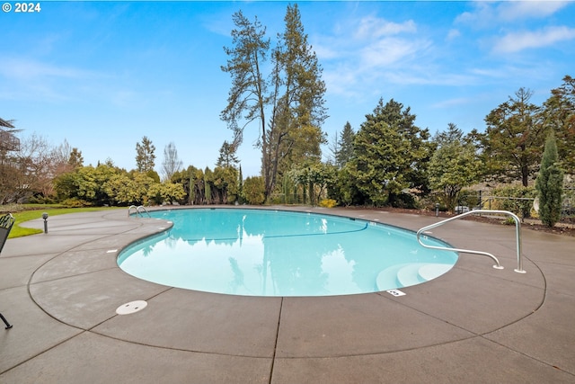 view of swimming pool with a patio