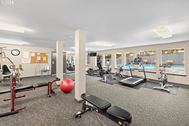 gym featuring carpet