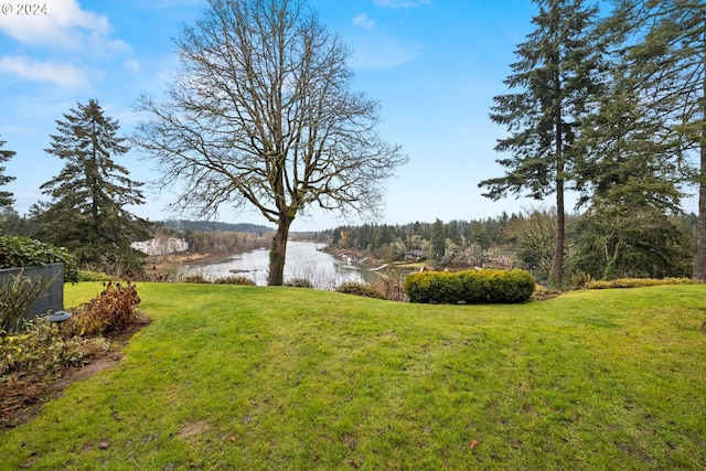 view of yard featuring a water view