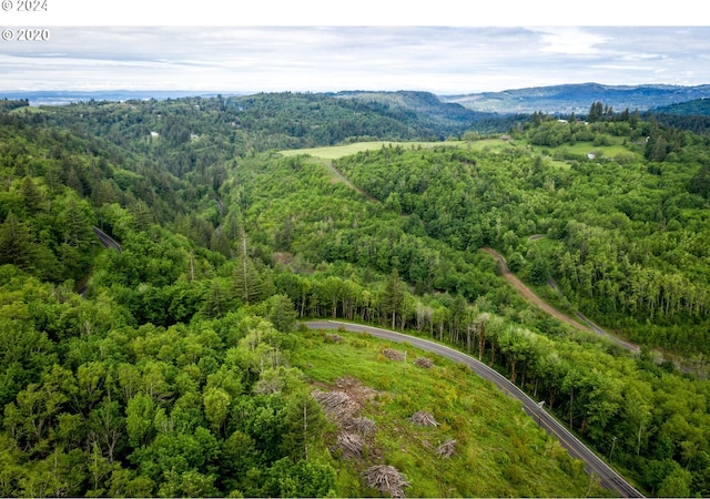 0 Mt Pleasant Rd Unit 1, Washougal, WA 98671