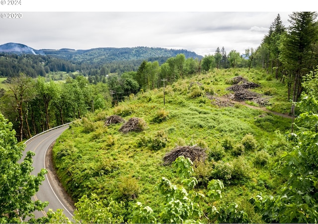 0 Mt Pleasant Rd Unit 1, Washougal, WA 98671