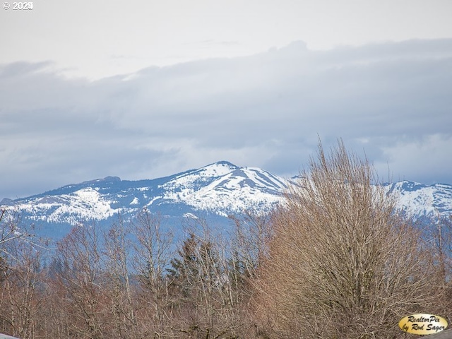 0 Mt Pleasant Rd Unit 1, Washougal, WA 98671