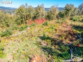 0 Mt Pleasant Rd Unit 1, Washougal, WA 98671
