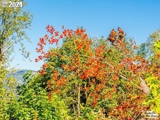 0 Mt Pleasant Rd Unit 1, Washougal, WA 98671
