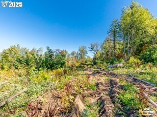 0 Mt Pleasant Rd Unit 1, Washougal, WA 98671