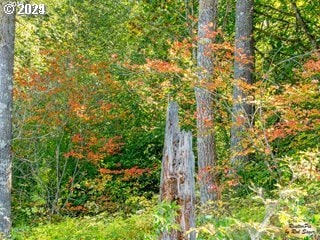 0 Mt Pleasant Rd Unit 1, Washougal, WA 98671