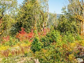 0 Mt Pleasant Rd Unit 1, Washougal, WA 98671
