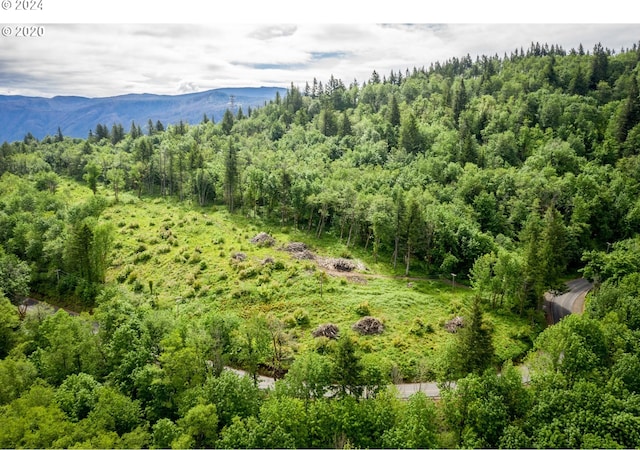 0 Mt Pleasant Rd Unit 1, Washougal, WA 98671