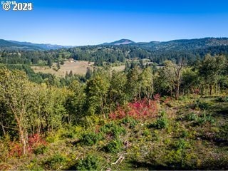0 Mt Pleasant Rd Unit 1, Washougal, WA 98671