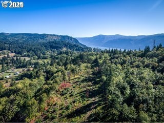 0 Mt Pleasant Rd Unit 1, Washougal, WA 98671