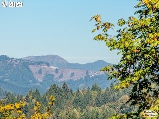 0 Mt Pleasant Rd Unit 1, Washougal, WA 98671