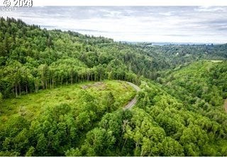 0 Mt Pleasant Rd Unit 1, Washougal, WA 98671