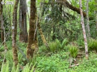 0 Mt Pleasant Rd Unit 1, Washougal, WA 98671
