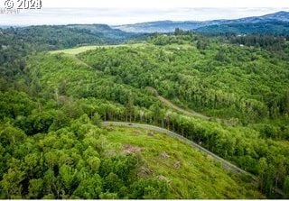 0 Mt Pleasant Rd Unit 1, Washougal, WA 98671