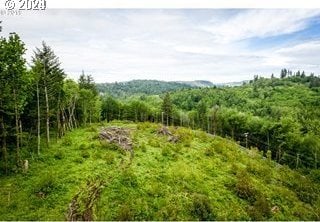 0 Mt Pleasant Rd Unit 1, Washougal, WA 98671