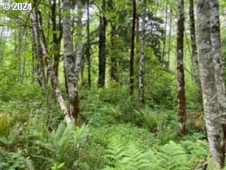 0 Mt Pleasant Rd Unit 1, Washougal, WA 98671