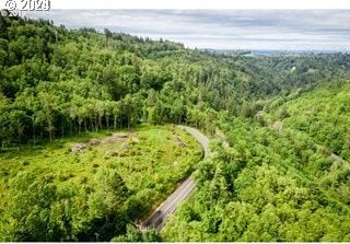 0 Mt Pleasant Rd Unit 1, Washougal, WA 98671