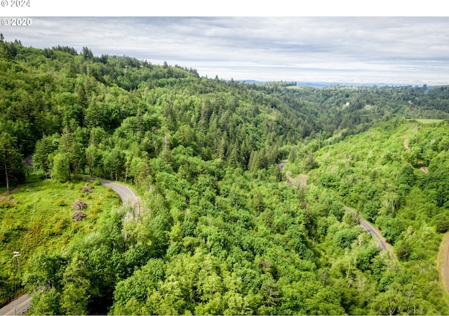 0 Mt Pleasant Rd Unit 1, Washougal, WA 98671