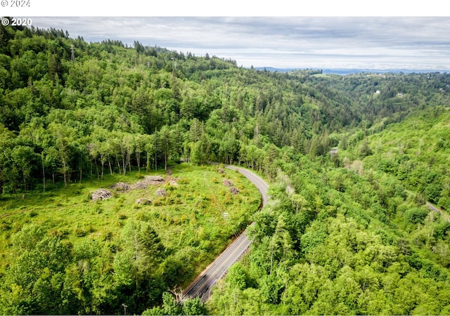 0 Mt Pleasant Rd Unit 1, Washougal, WA 98671