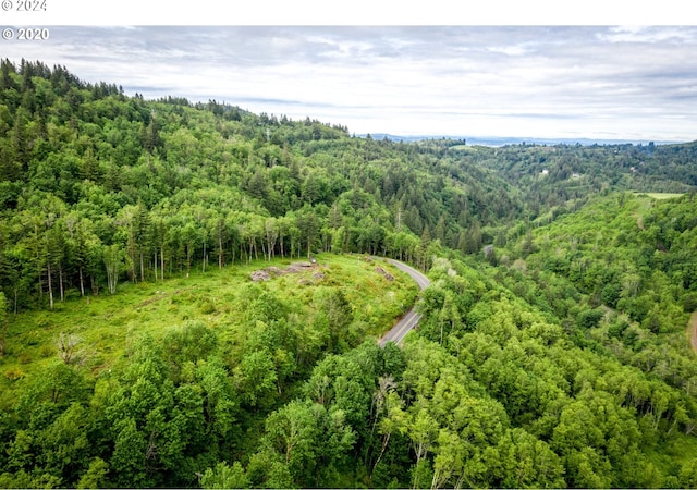 0 Mt Pleasant Rd Unit 1, Washougal, WA 98671