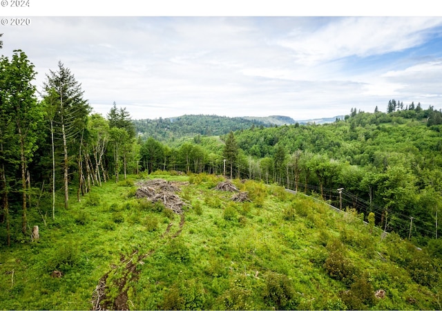 0 Mt Pleasant Rd Unit 1, Washougal, WA 98671