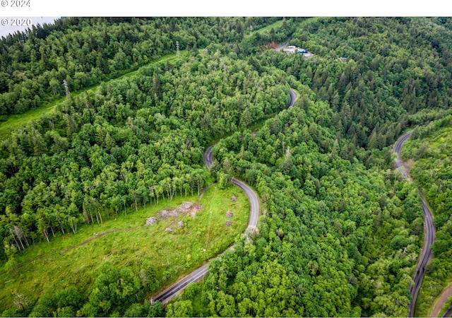 0 Mt Pleasant Rd Unit 1, Washougal, WA 98671