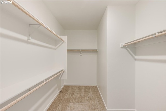 walk in closet with light colored carpet